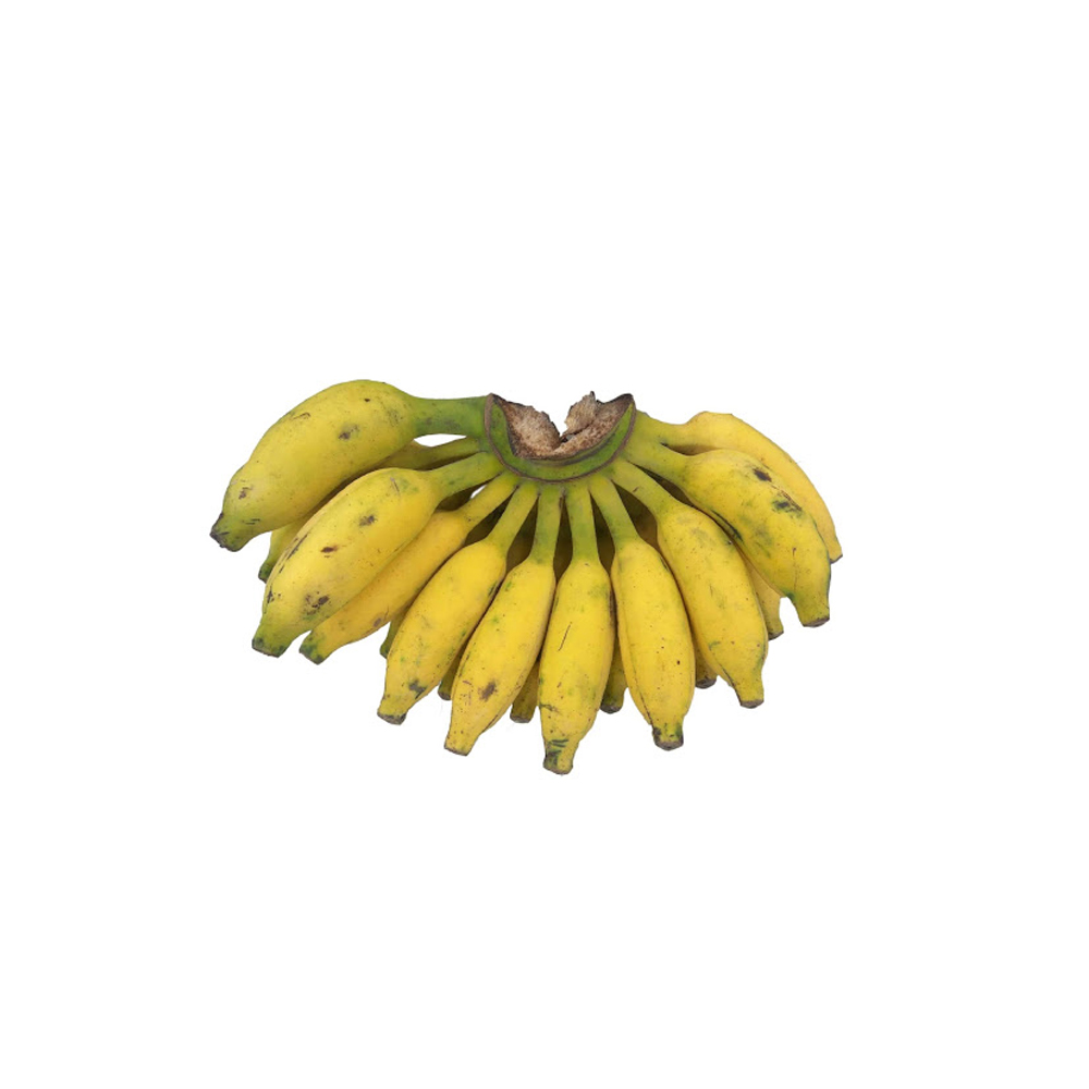 BANANA /KATHALI KOLA