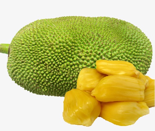 JACK FRUIT/ KATHAL